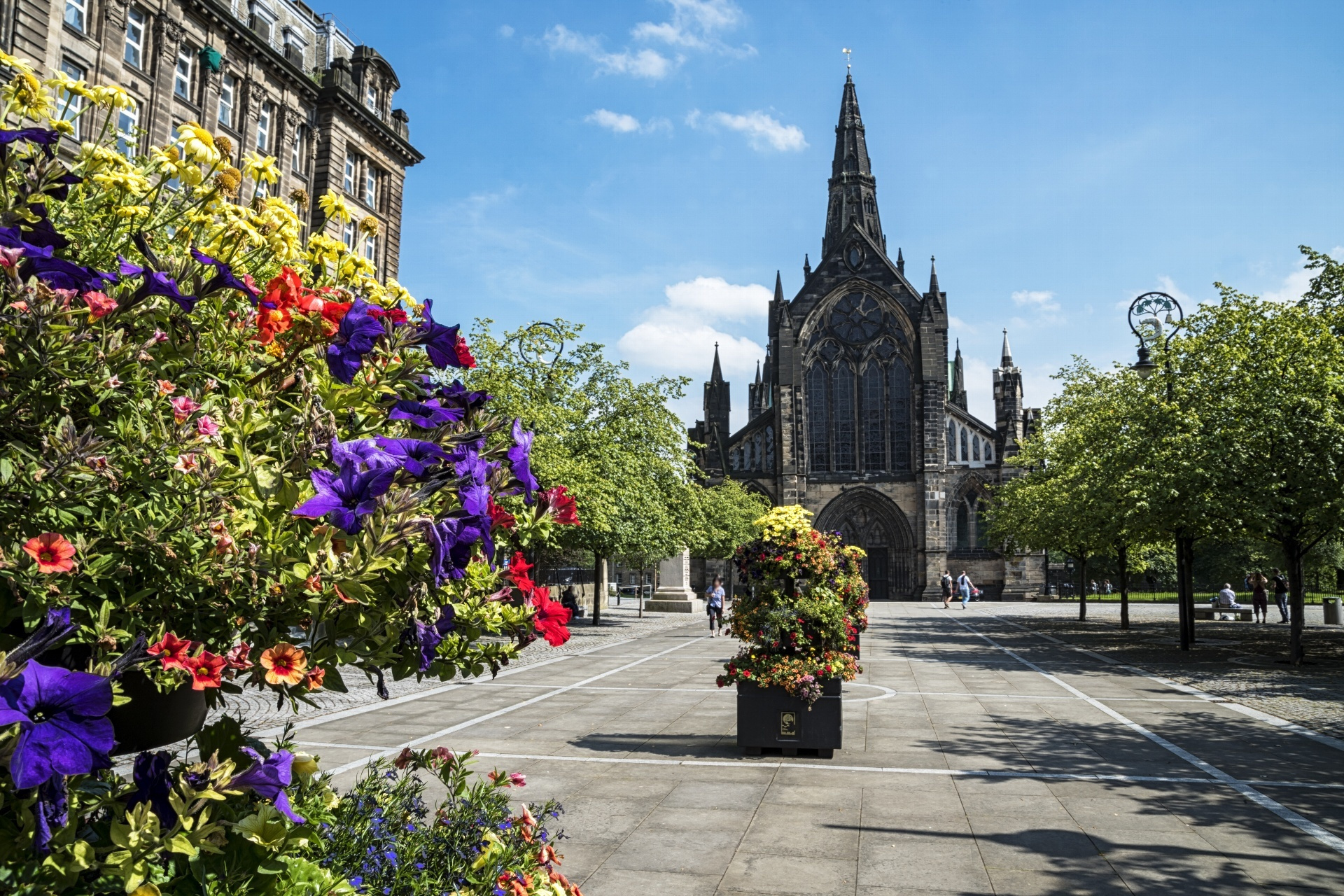 grasgow3.jpg